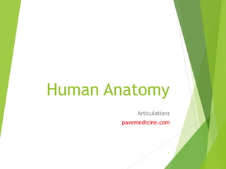 Human Anatomy 
Articulations 
pavemedicine.com 
1 
 