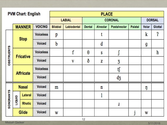 Articulatory PPT
