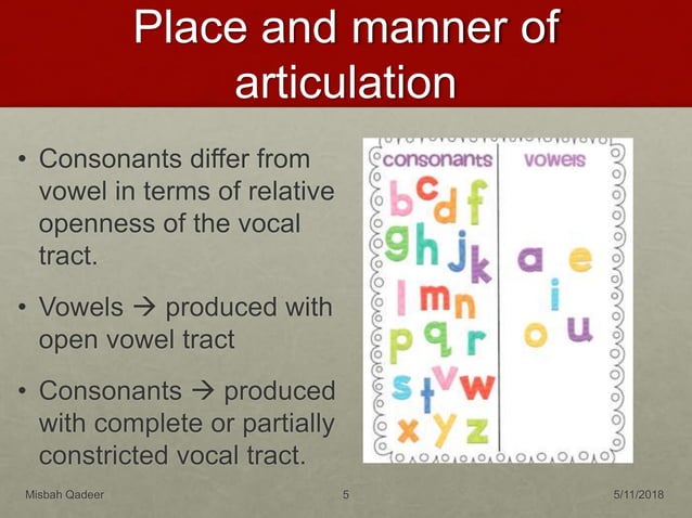 Articulatory Phonetics Ppt