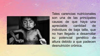 Tales carencias nutricionales
son una de las principales
causas de que haya una
apreciable cantidad de
individuos de baja talla, que
no han llegado a desarrollar
su potencial genético de
altura debido a que padecen
desnutrición crónica.
 