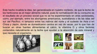 Este hecho invalida la idea, tan generalizada en nuestro contexto, de que la leche de
los herbívoros es el mejor alimento natural, pues la normalización de su consumo es
el resultado de un proceso social que no se ha experimentado en otras sociedades,
como, por ejemplo, entre los aborígenes americanos, australianos o de las islas del
sur del Pacífico; ni tampoco entre los nativos del norte y el sudeste de Asia o en
China y Japón, donde se domesticaron cerdos en vez de vacas, por lo que han de
buscar en otras fuentes alimentarias el calcio, la vitamina D y otros factores
contenidos naturalmente en la leche que ayudan a la absorción de este mineral y
que necesita el organismo.
 