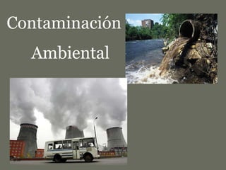 Contaminación  Ambiental  