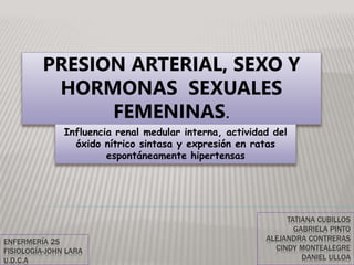 TATIANA CUBILLOS
GABRIELA PINTO
ALEJANDRA CONTRERAS
CINDY MONTEALEGRE
DANIEL ULLOA
PRESION ARTERIAL, SEXO Y
HORMONAS SEXUALES
FEMENINAS.
Influencia renal medular interna, actividad del
óxido nítrico sintasa y expresión en ratas
espontáneamente hipertensas
ENFERMERÍA 2S
FISIOLOGÍA-JOHN LARA
U.D.C.A
 