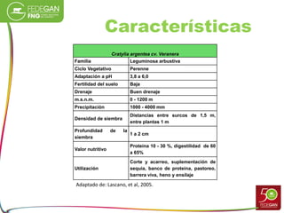 Características
Cratylia argentea cv. Veranera
Familia Leguminosa arbustiva
Ciclo Vegetativo Perenne
Adaptación a pH 3,8 a 6,0
Fertilidad del suelo Baja
Drenaje Buen drenaje
m.s.n.m. 0 - 1200 m
Precipitación 1000 - 4000 mm
Densidad de siembra
Distancias entre surcos de 1,5 m,
entre plantas 1 m
Profundidad de la
siembra
1 a 2 cm
Valor nutritivo
Proteína 10 - 30 %, digestilidad de 60
a 65%
Utilización
Corte y acarreo, suplementación de
sequia, banco de proteína, pastoreo,
barrera viva, heno y ensilaje
Adaptado de: Lascano, et al, 2005.
 