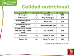 Calidad nutricional
Parámetros % M. S. Resultado Elementos MS Resultado
Materia Seca 31,6 Calcio (Ca) % 0,58
Proteína Cruda 21,9 Magnesio (Mg) % 0,25
Fibra en Detergente
Neutro
54,2 Azufre (S) % 0,24
Fibra en Detergente
Ácido
34,1 Manganeso (Mn) ppm 240,1
Degradabilidad Ruminal
de la MS (Deg) a las 48
horas
53,5 Zinc (Zn) ppm 38,4
Fosforo (P) 0,29 Cobre (Cu) ppm 10,4
Potasio (K) 1,89 Hierro (Fe) ppm 108,8
CORPOICA, Manual Técnico N° 13, 2007
 