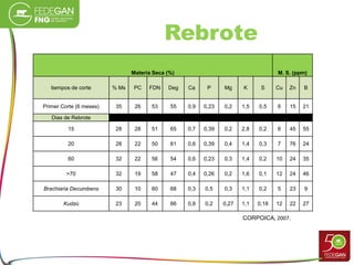 Rebrote
Materia Seca (%) M. S. (ppm)
tiempos de corte % Ms PC FDN Deg Ca P Mg K S Cu Zn B
Primer Corte (6 meses) 35 26 53 55 0,9 0,23 0,2 1,5 0,5 6 15 21
Dias de Rebrote
15 28 28 51 65 0,7 0,39 0,2 2,8 0,2 6 45 55
20 28 22 50 61 0,6 0,39 0,4 1,4 0,3 7 76 24
60 32 22 56 54 0,6 0,23 0,3 1,4 0,2 10 24 35
>70 32 19 58 47 0,4 0,26 0,2 1,6 0,1 12 24 46
Brachiaria Decumbens 30 10 60 68 0,3 0,5 0,3 1,1 0,2 5 23 9
Kudzú 23 20 44 66 0,8 0,2 0,27 1,1 0,18 12 22 27
CORPOICA, 2007.
 