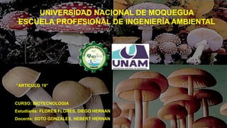 UNIVERSIDAD NACIONAL DE MOQUEGUA
ESCUELA PROFESIONAL DE INGENIERÍA AMBIENTAL
“ARTICULO 19”
CURSO: BIOTECNOLOGIA
Estudiante: FLORES FLORES, DIEGO HERNAN
Docente: SOTO GONZALES, HEBERT HERNAN
 