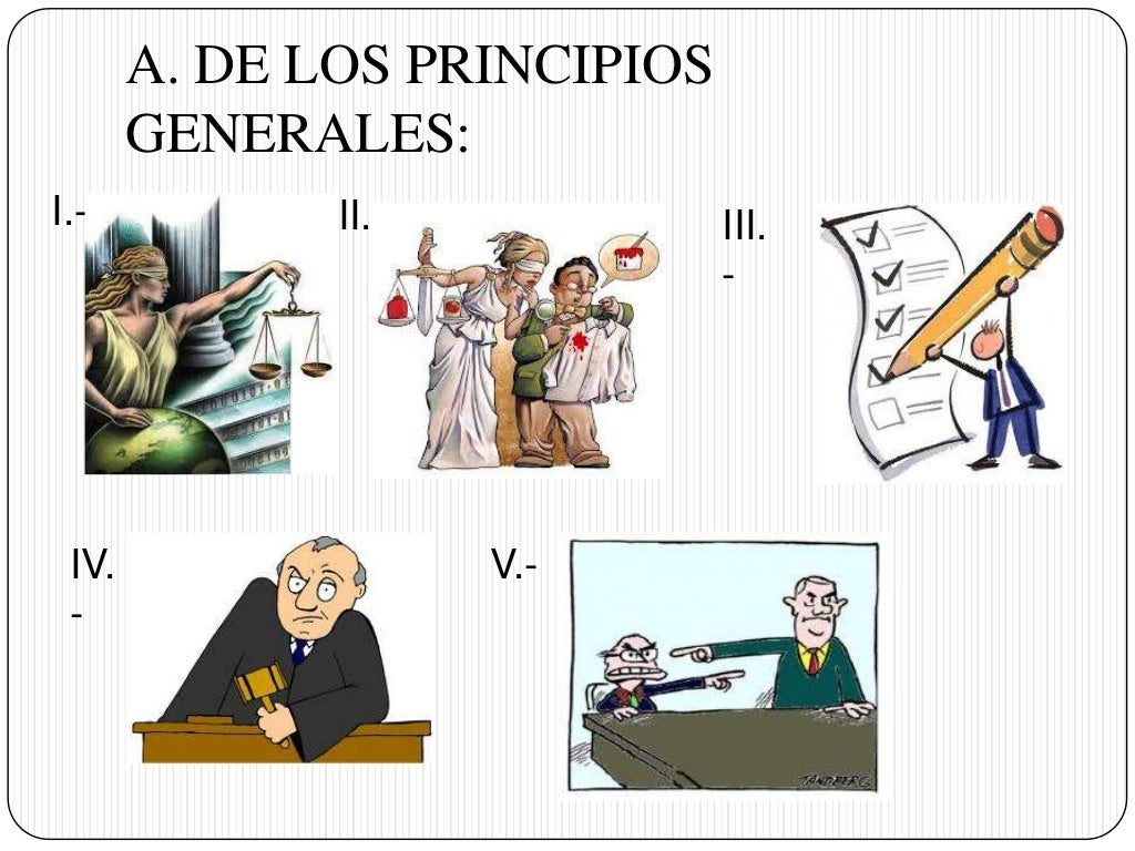 Articulo 20 constitucional