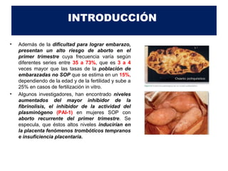 INTRODUCCIÓN 
• Además de la dificultad para lograr embarazo, 
presentan un alto riesgo de aborto en el 
primer trimestre cuya frecuencia varía según 
diferentes series entre 35 a 73%, que es 3 a 4 
veces mayor que las tasas de la población de 
embarazadas no SOP que se estima en un 15%, 
dependiendo de la edad y de la fertilidad y sube a 
25% en casos de fertilización in vitro. 
• Algunos investigadores, han encontrado niveles 
aumentados del mayor inhibidor de la 
fibrinolisis, el inhibidor de la actividad del 
plasminógeno (PAI-1) en mujeres SOP con 
aborto recurrente del primer trimestre. Se 
especula, que éstos altos niveles inducirían en 
la placenta fenómenos trombóticos tempranos 
e insuficiencia placentaria. 
 
