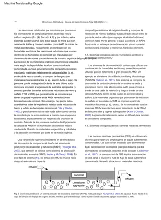 10
Fig. 5. Diseño esquemático de un sistema productor de reducción y alcalinidad (RAPS), redibujado según Younger et al. (2003). El agua que fluye a través de la
capa de compost se despoja del oxígeno disuelto, mientras que tanto esta capa como la piedra caliza subyacente agregan alcalinidad a la AMD.
DB Johnson, KB Hallberg / Ciencia del Medio Ambiente Total 338 (2005) 3–14
Las barreras reactivas permeables (PRB) se utilizan cada
vez más para tratar una amplia gama de aguas subterráneas
contaminadas. Los que se han instalado para biorremediar
AMD funcionan con los mismos principios básicos que los
biorreactores de compost, descritos en la Sección 4.3 (Benner
et al., 1997). La construcción de PRB implica la excavación
de una zanja o pozo en la ruta de flujo de agua subterránea
contaminada, llenando el vacío con materiales reactivos.
compost (para eliminar el oxígeno disuelto y promover la
reducción de hierro y sulfato) y luego a través de un lecho de
grava de piedra caliza (para agregar alcalinidad adicional,
como en ALD). Por lo general, el agua que drena un RAPS
fluye hacia un estanque de sedimentación y/o un humedal
aeróbico para precipitar y retener los hidróxidos de hierro.
4.5. Sistemas biológicos pasivos: barreras reactivas permeables
Una variante de ingeniería importante en el tema básico
del biorreactor de compost es el diseño del sistema de
producción de alcalinidad y reducción (RAPS) (Younger et al.,
2003), que también se conoce como sistema de producción
de alcalinidad sucesiva (SAPS; Kepler y McCleary, 1994). En
este tipo de sistema (Fig. 5), el flujo de AMD se mueve hacia
abajo a través de una capa de
Los sistemas de biorremediación pasivos que utilizan una
combinación de humedales aeróbicos y anaeróbicos se han
utilizado para el tratamiento a gran escala de AMD. Un
ejemplo es el sistema bAcid Reduction Using Microbiology
(ARUM)Q (Kalin et al., 1991). Este sistema se compone de
dos celdas de oxidación dentro de las cuales se oxida y
precipita el hierro; más allá de estos, AMD pasa primero a
través de una celda de retención y luego a través de dos
celdas bARUMQ dentro de las cuales se generan álcali y
sulfuro. Los materiales orgánicos que promueven la reducción
de sulfato en las células ARUM se originan a partir de
macrófitos flotantes (p. ej., totora). Se ha demostrado que los
sistemas ARUM son efectivos en el tratamiento de la DMAE
en latitudes altas y lugares subtropicales (Kalin y Chaves,
2001). La planta de tratamiento pasivo en Wheal Jane también
es un sistema compuesto.
La elección de los materiales orgánicos voluminosos utilizados
varía según la disponibilidad local así como su eficacia
comprobada, aunque generalmente los compost se preparan
mezclando materiales relativamente biodegradables (p. ej.,
estiércol de vaca o caballo, o compost de hongos) con
materiales más recalcitrantes (p. ej., aserrín, turba o paja). Se
presume que la biodegradación lenta de este último actúa
como una provisión a largo plazo de sustratos apropiados (y
amonio) para las bacterias autóctonas reductoras de hierro y
sulfato (FRB y SRB) que generalmente se considera que
tienen un papel importante en la AMD. remediación en
biorreactores de compost. Sin embargo, hay pocos datos
cuantitativos sobre la importancia relativa de la reducción de
hierro y sulfato en humedales de compost (Vile y Wieder,
1993), y prácticamente no se sabe nada sobre cómo cambia
la microbiología de estos sistemas a medida que envejece el
ecosistema, especialmente con respecto a la provisión de
sustrato. Además de los procesos mediados biológicamente,
la calidad de AMD en los humedales de compost mejora
mediante la filtración de materiales suspendidos y coloidales
y la adsorción de metales por parte de la matriz orgánica.
4.4. Sistemas biológicos pasivos: humedales aeróbicos y
anaeróbicos compuestosQ
Las reacciones catalizadas por microbios que ocurren en
los biorreactores de compost generan alcalinidad neta y
sulfuro biogénico (Ec. (4); Sección 4.1), y por lo tanto, estos
sistemas pueden usarse para tratar aguas de mina que son
netamente ácidas y ricas en metales, como AMD de minas de
metal abandonadas. Nuevamente, en contraste con los
humedales aeróbicos, las reacciones reductoras que ocurren
dentro de los humedales de compost son impulsadas por
donantes de electrones que se derivan de la matriz orgánica del propio compost.
Machine Translated by Google
 