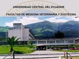 FACULTAD DE MEDICINA VETERINARIA Y ZOOTECNIA
UNIVERSIDAD CENTRAL DEL ECUADOR
 
