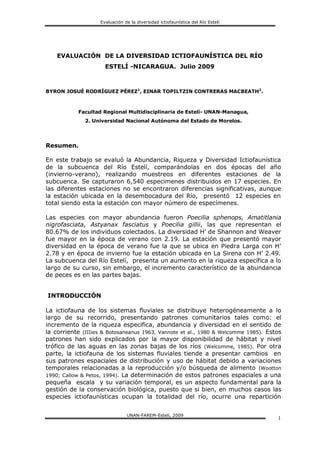 Evaluación de la diversidad ictiofaunística del Río Estelí 
UNAN-FAREM-Estelí, 2009 
1 
EVALUACIÓN DE LA DIVERSIDAD ICTIOFAUNÍSTICA DEL RÍO ESTELÍ -NICARAGUA. Julio 2009 
BYRON JOSUÉ RODRÍGUEZ PÉREZ1, EINAR TOPILTZIN CONTRERAS MACBEATH2. 
Facultad Regional Multidisciplinaria de Estelí- UNAN-Managua, 
2. Universidad Nacional Autónoma del Estado de Morelos. 
Resumen. 
En este trabajo se evaluó la Abundancia, Riqueza y Diversidad Ictiofaunística de la subcuenca del Río Estelí, comparándolas en dos épocas del año (invierno-verano), realizando muestreos en diferentes estaciones de la subcuenca. Se capturaron 6,540 especimenes distribuidos en 17 especies. En las diferentes estaciones no se encontraron diferencias significativas, aunque la estación ubicada en la desembocadura del Río, presentó 12 especies en total siendo esta la estación con mayor número de especímenes. 
Las especies con mayor abundancia fueron Poecilia sphenops, Amatitlania nigrofasciata, Astyanax fasciatus y Poecilia gillii, las que representan el 80.67% de los individuos colectados. La diversidad H’ de Shannon and Weaver fue mayor en la época de verano con 2.19. La estación que presentó mayor diversidad en la época de verano fue la que se ubica en Piedra Larga con H’ 2.78 y en época de invierno fue la estación ubicada en La Sirena con H’ 2.49. La subcuenca del Río Estelí, presenta un aumento en la riqueza específica a lo largo de su curso, sin embargo, el incremento característico de la abundancia de peces es en las partes bajas. 
INTRODUCCIÓN 
La ictiofauna de los sistemas fluviales se distribuye heterogéneamente a lo largo de su recorrido, presentando patrones comunitarios tales como: el incremento de la riqueza especifica, abundancia y diversidad en el sentido de la corriente (IIIies & Botosaneanus 1963, Vannote et al., 1980 & Welcomme 1985). Estos patrones han sido explicados por la mayor disponibilidad de hábitat y nivel trófico de las aguas en las zonas bajas de los ríos (Welcomme, 1985). Por otra parte, la ictiofauna de los sistemas fluviales tiende a presentar cambios en sus patrones espaciales de distribución y uso de hábitat debido a variaciones temporales relacionadas a la reproducción y/o búsqueda de alimento (Wootton 1990; Callow & Petos, 1994). La determinación de estos patrones espaciales a una pequeña escala y su variación temporal, es un aspecto fundamental para la gestión de la conservación biológica, puesto que si bien, en muchos casos las especies ictiofaunísticas ocupan la totalidad del río, ocurre una repartición  