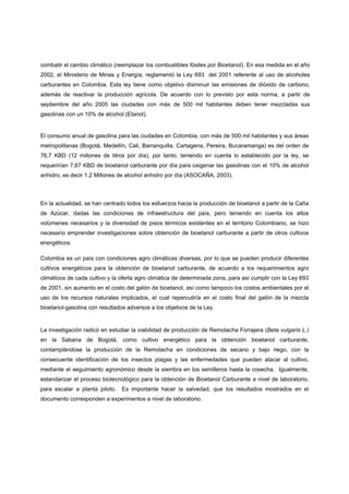 combatir el cambio climático (reemplazar los combustibles fósiles por Bioetanol). En esa medida en el año
2002, el Ministerio de Minas y Energía, reglamentó la Ley 693 del 2001 referente al uso de alcoholes
carburantes en Colombia. Esta ley tiene como objetivo disminuir las emisiones de dióxido de carbono,
además de reactivar la producción agrícola. De acuerdo con lo previsto por esta norma, a partir de
septiembre del año 2005 las ciudades con más de 500 mil habitantes deben tener mezcladas sus
gasolinas con un 10% de alcohol (Etanol).


El consumo anual de gasolina para las ciudades en Colombia, con más de 500 mil habitantes y sus áreas
metropolitanas (Bogotá, Medellín, Cali, Barranquilla, Cartagena, Pereira, Bucaramanga) es del orden de
76,7 KBD (12 millones de litros por día), por tanto, teniendo en cuenta lo establecido por la ley, se
requerirían 7,67 KBD de bioetanol carburante por día para oxigenar las gasolinas con el 10% de alcohol
anhidro, es decir 1.2 Millones de alcohol anhidro por día (ASOCAÑA, 2003).



En la actualidad, se han centrado todos los esfuerzos hacia la producción de bioetanol a partir de la Caña
de Azúcar, dadas las condiciones de infraestructura del país, pero teniendo en cuenta los altos
volúmenes necesarios y la diversidad de pisos térmicos existentes en el territorio Colombiano, se hizo
necesario emprender investigaciones sobre obtención de bioetanol carburante a partir de otros cultivos
energéticos.

Colombia es un país con condiciones agro climáticas diversas, por lo que se pueden producir diferentes
cultivos energéticos para la obtención de bioetanol carburante, de acuerdo a los requerimientos agro
climáticos de cada cultivo y la oferta agro climática de determinada zona, para así cumplir con la Ley 693
de 2001, sin aumento en el costo del galón de bioetanol, así como tampoco los costos ambientales por el
uso de los recursos naturales implicados, el cual repercutiría en el costo final del galón de la mezcla
bioetanol-gasolina con resultados adversos a los objetivos de la Ley.


La investigación radicó en estudiar la viabilidad de producción de Remolacha Forrajera (Beta vulgaris L.)
en la Sabana de Bogotá, como cultivo energético para la obtención bioetanol carburante,
contamplándose la producción de la Remolacha en condiciones de secano y bajo riego, con la
consecuente identificación de los insectos plagas y las enfermedades que pueden atacar al cultivo,
mediante el seguimiento agronómico desde la siembra en los semilleros hasta la cosecha. Igualmente,
estandarizar el proceso biotecnológico para la obtención de Bioetanol Carburante a nivel de laboratorio,
para escalar a planta piloto.   Es importante hacer la salvedad, que los resultados mostrados en el
documento corresponden a experimentos a nivel de laboratorio.
 