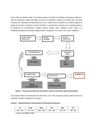 Como todas las plantas verdes, la remolacha posee la facultad de sintetizar compuestos orgánicos a
partir de elementos simples absorbidos del suelo y la atmósfera, utilizando la energía solar. Las sales
minerales son absorbidas principalmente por la raíz, mientras que la síntesis de la materia orgánica se
realiza en las hojas a través de la función clorofílica. Los elementos minerales que se necesita aportar a
la remolacha son principalmente: nitrógeno, fósforo, potasio, calcio, magnesio, azufre, sodio; y en
cantidades pequeñas, los llamados oligoelementos: manganeso, boro, hierro, zinc, cobre, molibdeno.



                LAVAR Y PESAR                    MOLER Y                    JUGO DE
                REMOLACHA                        EXPRIMIR                   REMOLACHA




                          PASTEURIZACION                                        HIDRÓLISIS
                                                                                  ACIDA




                            70ºc 15 min                                         1%
                                                                                H3PO4




                      FERMENTACION                                                                ALCOHOL 70º
                                                        DESTILACION




                           Inoculo
                      [ ] cell/ml=108                   82ºC por 2 horas

       Figura 1. Procesos de obtención de alcohol a partir de remolacha (fase experimental)


Una cosecha media de remolacha de 60 a 90 ton/ha, con el 16% de riqueza, puede extraer del suelo los
nutrientes en Kg/ha, reseñados en el cuadro 1.


Cuadro 1. Requerimientos nutricionales de la Remolacha Azucarera


            N             P2O5             K2O              Na             Mg                Ca
        120 – 170       70 – 110        235 – 180       90 – 125        20 – 45          85 – 90
       Fuente: VILLARÍAS, 1999.
 