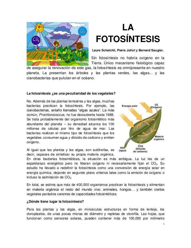 Articulo de fotosíntesis