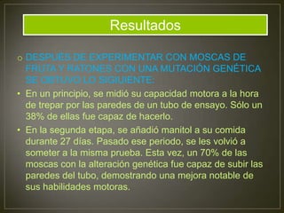 o DESPUÉS DE EXPERIMENTAR CON MOSCAS DE
FRUTA Y RATONES CON UNA MUTACIÓN GENÉTICA
SE OBTUVO LO SIGIUIENTE:
• En un principio, se midió su capacidad motora a la hora
de trepar por las paredes de un tubo de ensayo. Sólo un
38% de ellas fue capaz de hacerlo.
• En la segunda etapa, se añadió manitol a su comida
durante 27 días. Pasado ese periodo, se les volvió a
someter a la misma prueba. Esta vez, un 70% de las
moscas con la alteración genética fue capaz de subir las
paredes del tubo, demostrando una mejora notable de
sus habilidades motoras.
Resultados
 