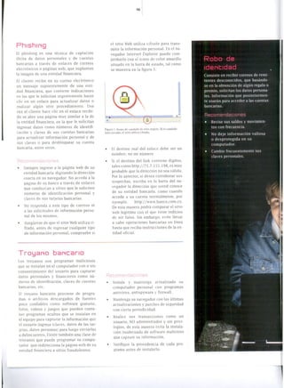 Articulo Revista Elite sobre delitos informáticos 2010