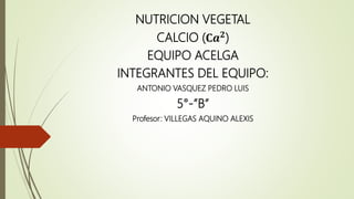 NUTRICION VEGETAL
CALCIO (𝐂𝒂 𝟐
)
EQUIPO ACELGA
INTEGRANTES DEL EQUIPO:
ANTONIO VASQUEZ PEDRO LUIS
5°-”B”
Profesor: VILLEGAS AQUINO ALEXIS
 