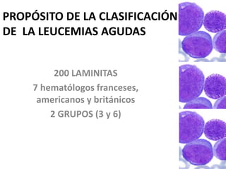 PROPÓSITO DE LA CLASIFICACIÓN
DE LA LEUCEMIAS AGUDAS
200 LAMINITAS
7 hematólogos franceses,
americanos y británicos
2 GRUPOS (3 y 6)
 