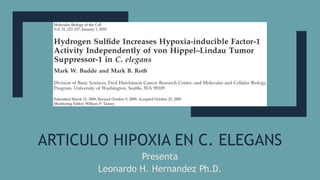 ARTICULO HIPOXIA EN C. ELEGANS
Presenta
Leonardo H. Hernandez Ph.D.
 