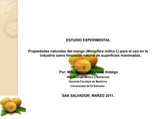   ESTUDIO EXPERIMENTAL   Propiedades naturales del mango (Mangifera indica L) para el uso en la industria como limpiador natural de superficies inanimadas.       Por: MSc Antonio Vásquez Hidalgo Microbiólogo Médico y Salubrista Docente Facultad de Medicina Universidad de El Salvador    SAN SALVADOR, MARZO 2011. 