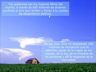 Tus pulmones son los mejores filtros del mundo. A través de 600 millones de alvéolos purifican el aire que reciben y libran a tu cuerpo de desperdicios dañinos. En tus ojos, Dios ha depositado 100 millones de receptores que te permiten gozar de la magia de los colores, de la luz, de la simpatía de las personas y de la majestad de la naturaleza. 