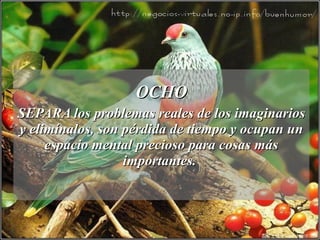 OCHO SEPARA los problemas reales de los imaginarios y elimínalos, son pérdida de tiempo y ocupan un espacio mental precioso para cosas más importantes.  