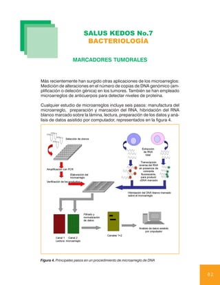 SALUS KEDOS No.7
                           BACTERIOLOGÍA

                   MARCADORES TUMORALES


Más recientemente han surgido otras aplicaciones de los microarreglos:
Medición de alteraciones en el número de copias de DNA genómico (am-
plificación o deleción génica) en los tumores. También se han empleado
microarreglos de anticuerpos para detectar niveles de proteína.

Cualquier estudio de microarreglos incluye seis pasos: manufactura del
microarreglo, preparación y marcación del RNA, hibridación del RNA
blanco marcado sobre la lámina, lectura, preparación de los datos y aná-
lisis de datos asistido por computador, representados en la figura 4.




Figura 4. Principales pasos en un procedimiento de microarreglo de DNA



                                                                           82
 