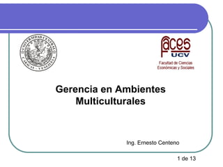 Gerencia en Ambientes
Multiculturales

Ing. Ernesto Centeno
1 de 13

 