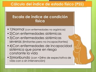 Cálculo del índice de estado físico (PSS)


   Escala de índice de condición
               física

• 1)Normal (con enfermedades no orgánicas)
• 2)Con enfermedades sistémicas
• 3)Con enfermedades sistémicas
  severas (limitantes pero no incapacitantes)
• 4)Con enfermedades de incapacidad
  sistémica que pone en riesgo
  constante la vida
• 5)Moribundo (con <24hrs de expectativa de
 vida con o sin intervención)
 