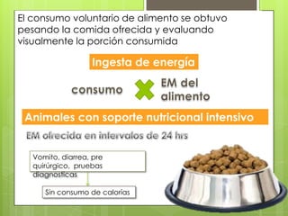 El consumo voluntario de alimento se obtuvo
pesando la comida ofrecida y evaluando
visualmente la porción consumida

                   Ingesta de energía



 Animales con soporte nutricional intensivo


   Vomito, diarrea, pre
   quirúrgico, pruebas
   diagnosticas

      Sin consumo de calorías
 