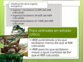Clasificación de la ingesta
energética
• ingesta 1:recibieron 0-33% del MER
  calculado
• Ingesta2:recibieron 34-66% del MER
  calculado
• Ingesta3:recibieron 67-100% del MER
  calculado


                  Para animales en estado
                  crítico
                  • <RER suministrado a los que
                    recibieron menos EM que el RER
                    calculado
                  • >RER para los que recibieron
                    mayor o igual cantidad de EM
                    que el RER calculado.
 