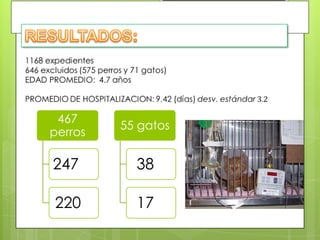 467
         55 gatos
perros

247        38

220        17
 