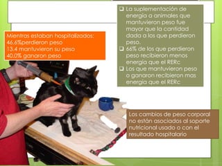  La suplementación de
                                     energía a animales que
                                     mantuvieron peso fue
                                     mayor que la cantidad
Mientras estaban hospitalizados:     dada a los que perdieron
46.6%perdieron peso                  peso.
13.4 mantuvieron su peso            66% de los que perdieron
40.0% ganaron peso                   peso recibieron menos
                                     energía que el RERc
                                    Los que mantuvieron peso
                                     o ganaron recibieron mas
                                     energía que el RERc




                                      Los cambios de peso corporal
                                      no están asociados al soporte
                                      nutricional usado o con el
                                      resultado hospitalario
 