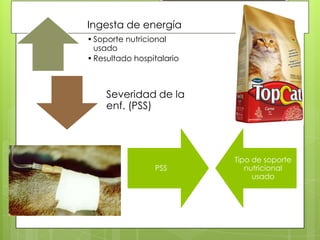 Ingesta de energía
• Soporte nutricional
  usado
• Resultado hospitalario



    Severidad de la
    enf. (PSS)




                           Tipo de soporte
                 PSS          nutricional
                                usado
 