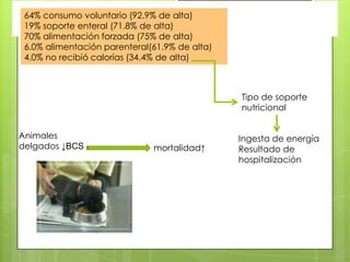 64% consumo voluntario (92.9% de alta)
 19% soporte enteral (71.8% de alta)
 70% alimentación forzada (75% de alta)
 6.0% alimentación parenteral(61.9% de alta)
 4.0% no recibió calorías (34.4% de alta)



                                               Tipo de soporte
                                               nutricional


Animales                                       Ingesta de energía
delgados ↓BCS                 mortalidad↑      Resultado de
                                               hospitalización
 