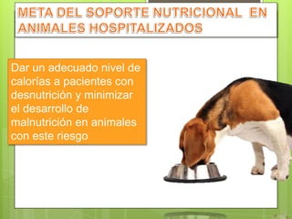 Dar un adecuado nivel de
calorías a pacientes con
desnutrición y minimizar
el desarrollo de
malnutrición en animales
con este riesgo
 