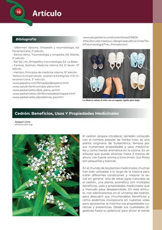 10
Bibliografía
Artículo
Lo ideal es calzar al niño con un zapato rígido, pero bajo.
• Silberman Varaona, Ortopedia y traumatología, Ed.
Panamericana, 2ª edición.
• Ramos Vértiz, Traumatología y ortopedia, Ed. Atlante,
2ª edición.
• Del Sel, J.M., Ortopedia y traumatología, Ed. La Balsa.
• Farreras, Rozman, Medicina interna, Ed. El Sevier, 15ª
edición.
• Harrison, Principios de medicina interna, 15ª edición.
•Nelson,Compendiode pediatría,Ed.Mgraw-Hill-In-
teramericana, 3ª edición.
•www.pepsline.com/Temas/ped/pieplano.html
•www.saludinfantil.com/pie plano.htm
•www.pediatrialdia.cl/pie_plano_se.htm
•www.pediatrialdia.cl/enfermedades/ortopedi.html
•www.pediatrialdia.cl/problemas_pies.htm
Cedrón: Beneﬁcios, Usos Y Propiedades Medicinales
Joaquín Lima
elhorticultor.org
•www.abcpediatria.com/content/view/2318/26
•http://escuela.med.puc.cl/paginas/publicaciones/Tex-
toTraumatologia/Trau_Portada.html
El cedrón (aloysia citrodora), también conocido
con el nombre popular de hierba luisa, es una
planta originaria de Sudamérica, famosa por
sus numerosas propiedades y usos medicina-
les y como hierba aromática en la cocina. Es un
arbusto que puede alcanzar hasta 3 metros de
altura, con fuerte aroma a lima-limón. Sus ﬂores
son pequeñas y blancas.
En el mundo de las plantas medicinales, muchas
han sido utilizadas a lo largo de la historia para
tratar diferentes condiciones y mejorar la sa-
lud en general. Una de estas joyas naturales es
el cedrón, una planta aromática con múltiples
beneﬁcios, usos y propiedades medicinales que
a menudo pasa desapercibida. En este artícu-
lo, nos adentraremos en el universo del cedrón,
para descubrir sus innumerables beneﬁcios y
cómo podemos incorporarla en nuestras vidas
para aprovechar al máximo sus propiedades cu-
rativas y preventivas. Desde sus cualidades di-
gestivas hasta su potencial para aliviar el estrés
 