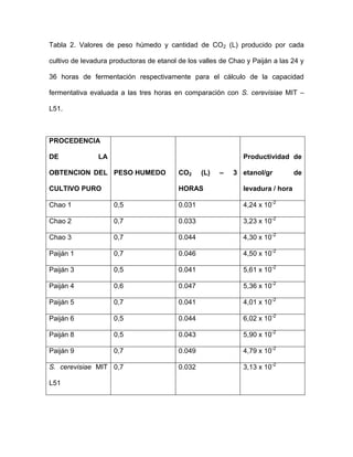 Tabla 2. Valores de peso húmedo y cantidad de CO2 (L) producido por cada
cultivo de levadura productoras de etanol de los valles de Chao y Paiján a las 24 y
36 horas de fermentación respectivamente para el cálculo de la capacidad
fermentativa evaluada a las tres horas en comparación con S. cerevisiae MIT –
L51.

PROCEDENCIA
DE

LA

Productividad de
(L)

–

OBTENCION DEL PESO HUMEDO

CO2

3 etanol/gr

CULTIVO PURO

HORAS

levadura / hora

Chao 1

0,5

0.031

4,24 x 10-2

Chao 2

0,7

0.033

3,23 x 10-2

Chao 3

0,7

0.044

4,30 x 10-2

Paiján 1

0,7

0.046

4,50 x 10-2

Paiján 3

0,5

0.041

5,61 x 10-2

Paiján 4

0,6

0.047

5,36 x 10-2

Paiján 5

0,7

0.041

4,01 x 10-2

Paiján 6

0,5

0.044

6,02 x 10-2

Paiján 8

0,5

0.043

5,90 x 10-2

Paiján 9

0,7

0.049

4,79 x 10-2

S. cerevisiae MIT 0,7

0.032

3,13 x 10-2

L51

de

 
