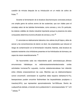 cuestión de minutos después de su introducción en un medio de cultivo de
frutas. [7]
Durante la fermentación de la levadura Saccharomyces cerevisiae produce
una amplia gama de activos aroma de las sustancias, que son vitales para el
complejo sabor de las bebidas fermentadas, como cerveza y vino. En particular,
los ésteres volátiles de interés industrial importante porque la presencia de estos
compuestos determina el aroma afrutado de cerveza y vino

[8]

S. cerevisiae es relativamente tolerante a los valores de pH bajos y altos de
azúcar y las concentraciones de etanol, es decir, las propiedades que reducen el
riesgo de contaminación en la fermentación industrial. Además, esta levadura es
bastante resistente a los inhibidores presentes en los hidrolizados de biomasa y es
capaz de crecer anaeróbicamente. [5]
Se haconvertido cada vez másevidente queS. cerevisiaeocupa yflorece
ennumerosos

hábitatsque

no

estánnecesariamenterelacionados

conlas

actividades humanas.Por supuesto, muchos aisladosnaturalesse han obtenido
enlos viñedos enasociacióncon las uvas. Mientras que es relativamentepoco
común encontrarS. cerevisiaeen la superficie delas bayasno dañados(<0,1%),
lasespeciesse pueden encontrar fácilmenteen las bayasdañadas porpájaros o
insectos(-24%), que representan aproximadamente 1en1000uvas. Dentro de
cualquierfruta dañada, el tamaño de la poblaciónde S. cerevisiaeoscilade 10
5

células. [9]

4

a10

 