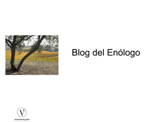 Blog del Enólogo
 