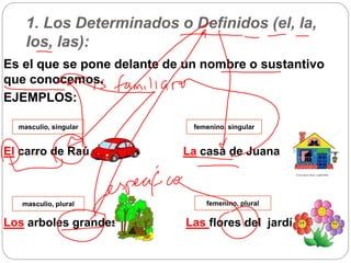 1. Los Determinados o Definidos (el, la,
los, las):
Es el que se pone delante de un nombre o sustantivo
que conocemos.
EJEMPLOS:
El carro de Raúl La casa de Juana
Los arboles grandes Las flores del jardín
masculio, singular femenino, singular
masculio, plural femenino, plural