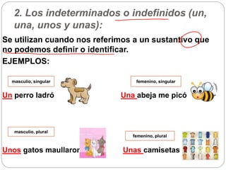 2. Los indeterminados o indefinidos (un,
una, unos y unas):
Se utilizan cuando nos referimos a un sustantivo que
no podemos definir o identificar.
EJEMPLOS:
Un perro ladró Una abeja me picó
Unos gatos maullaron Unas camisetas
masculio, singular
masculio, plural
femenino, singular
femenino, plural
