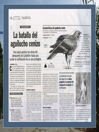 Articulos Prensa EspañA