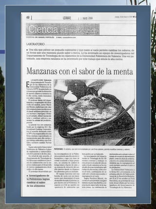 Articulos Prensa EspañA