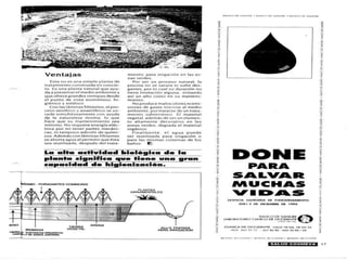 Tebag Artículos Varios #2