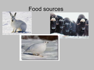 Food sources   