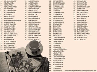 1.    ACHILLEOMANZIA      27.   CAPNOMANZIA       48.   DATTILOSCOPIA                  85. OMOMANZIA
2.    ACUTOMANZIA         28.   CAROMANZIA        49.   DEMONOMANZIA                   86. ONICOMANZIA
3.    AEROMANZIA          29.   CARTOMANZIA       50.   DENDROMANZIA                   87. ONIROMANZIA
4.    AGALMATOMANZIA      30.   CATOPTROMANZIA    51.   EMPIROMANZIA                   88. ONOMATOMANZIA
5.    AIGOMANZIA          31.   CEFALOMANZIA      52.   EPATOSCOPIA                    89. OOMANZIA
6.    ALETTRIOMANZIA      32.   CEROMANZIA        53.   ESTISPICIO                     90. ORNITOMANZIA
7.    ALEUROMANZIA        33.   CHELONIOMANZIA    54.   FABANOMANZIA                   91. PALAMOMANZIA
8.    ALOMANZIA           34.   CHIAMBOLIA        55.   FILLOMANZIA                    92. PALMOMANZIA
9.    AMNIOMANZIA         35.   CHIROMANZIA       56.   GAROSMANZIA                    93. PARTENOMANZIA
10.   AMNOSCOPIA          36.   CHITONOMANZIA     57.   GASTROMANZIA                   94. PEGOMANZIA
11.   ANAGRAMMATOMANZIA   37.   CINOMANZIA        58.   GEDUIMANZIA                    95. PIROMANZIA
12.   ANEMOMANZIA         38.   CLEDONOMANZIA     59.   GEMMOMANZIA                    96. RABDOMANZIA
13.   ANTROPOMANZIA       39.   CLEIDOMANZIA      60.   GENOMANZIA                     97. SAUROMANZIA
14.   APANTOMANZIA        40.   CLEROMANZIA       61.   GEOMANZIA                      98. SIDEROMANZIA
15.   ARACNOMANZIA        41.   COCCHIGOMANZIA    62.   GEOSCOPIA                      99. SPODOMANZIA
16.   ARITMOMANZIA        42.   CODONOMANZIA      63.   GIROMANZIA                     100. SPONDILOMANZIA
17.   ASSINOMANZIA        43.   CORACOMANZIA      64.   IDATOSCOPIA                    101. TERATOMANZIA
18.   ASTRAGALOMANZIA     44.   COSCINOMANZIA     65.   IDROMANZIA                     102. TRAUMATOMANZIA
19.   BATRACOMANZIA       45.   CRISTALLOMANZIA   66.   IPPOMANZIA                     103. TURIFUMANZIA
20.   BELOMANZIA          46.   CUBOMANZIA        67.   LAMPADOMANZIA                  104. VITROMANZIA
21.   BIBLIOMANZIA        47.   DATTILOMANZIA     68.   LECANIOMANZIA                  105. ZOOMANZIA
22.   BOSTRICOMANZIA                              69.   LIBANOMANZIA
23.   BOTANOMANZIA                                70.   LICOMANZIA
24.   BROCOMANZIA                                 71.   LITOBOLIA
25.   BRONTOMANZIA                                72.   LITOMANZIA
26.   CAFFEOMANZIA                                73.   LOGARITMOMANZIA
                                                  74.   MELANOMANZIA
                                                  75.   MELOMANZIA
                                                  76.   MENOMANZIA
                                                  77.   METEOROMANZIA
                                                  78.   MOLIBDOMANZIA
                                                  79.   NECHIOMANZIA
                                                  80.   NECROMANZIA
                                                  81.   NEFELIMANZIA
                                                  82.   OCULOMANZIA
                                                  83.   OFIMANZIA
                                                  84.   OICOMANZIA    Fonte: http://digilander.libero.it/dioraggiante/7libro.html
 