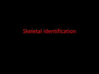 Skeletal Identification
 
