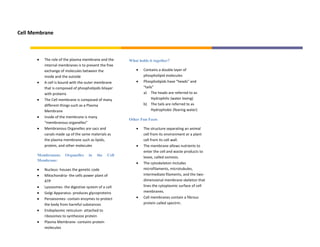 Cell Membrane



          The role of the plasma membrane and the     What holds it together?
          internal membranes is to prevent the free
          exchange of molecules between the                   Contains a double layer of
          inside and the outside                              phospholipid molecules
          A cell is bound with the outer membrane             Phospholipids have “heads” and
          that is composed of phospholipids bilayer           “tails”
          with proteins                                       a) The heads are referred to as
          The Cell membrane is composed of many                    Hydrophilic (water loving)
          different things such as a Plasma                   b) The tails are referred to as
          Membrane                                                 Hydrophobic (fearing water)
          Inside of the membrane is many
                                                      Other Fun Facts
          “membranous organelles”
          Membranous Organelles are sacs and                  The structure separating an animal
          canals made up of the same materials as             cell from its environment or a plant
          the plasma membrane such as lipids,                 cell from its cell wall.
          protein, and other molecules                        The membrane allows nutrients to
                                                              enter the cell and waste products to
       Membranous     Organelles    in   the   Cell           leave, called osmosis.
       Membrane:
                                                              The cytoskeleton includes
          Nucleus- houses the genetic code                    microfilaments, microtubules,
          Mitochondria- the cells power plant of              intermediate filaments, and the two-
          ATP                                                 dimensional membrane skeleton that
          Lysosomes- the digestive system of a cell           lines the cytoplasmic surface of cell
          Golgi Apparatus- produces glycoproteins             membranes.
          Peroxisomes- contain enzymes to protect             Cell membranes contain a fibrous
          the body from harmful substances                    protein called spectrin.
          Endoplasmic reticulum- attached to
          ribosomes to synthesize protein
          Plasma Membrane- contains protein
          molecules
 